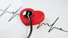 اگر پروتئین کافی نخورید چه اتفاقی در بدنتان می&zwnj;افتد؟