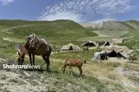 رشد ۶۲ درصدی اعتبارات استانی عشایر خراسان رضوی | گامی بلند در توسعه زیرساخت‌ها