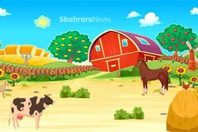 سرگرمی با بگرد و پیدا کن | مزرعه