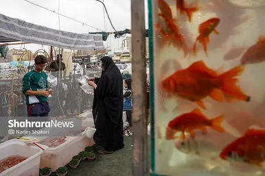 گزارش تصویری | حال‌وهوای بازار گل و گیاه مشهد در آستانه نوروز ۱۴۰۵