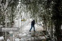 پیش‌بینی هواشناسی مشهد و خراسان رضوی امروز (چهارشنبه، ۲۴ دی ۱۴۰۴) | یخبندان در راه مشهد
