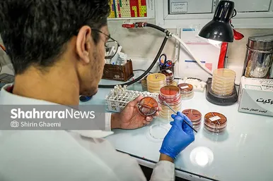 گزارش تصویری |بازدید خبرنگاران از فعالیت‌های جهاد دانشگاهی خراسان رضوی