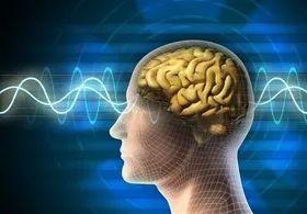 اینفوگرافی| عجیب&zwnj;ترین رفتارهای ممنوعه در دنیا