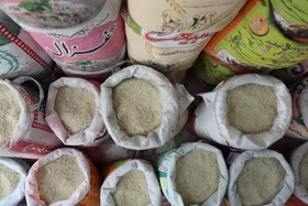 قیمت کاذب برنج خارجی در بازار مشهد | آیا ممنوعیت واردات، ذائقه&zwnj;ها را به سمت برنج ایرانی سوق می&zwnj;دهد؟