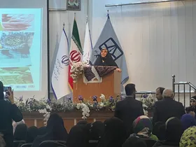 رییس مرکز ملی فرش دستباف: مرکز رشد تخصصی فرش دستباف در کشور راه&zwnj;اندازی می&zwnj;شود