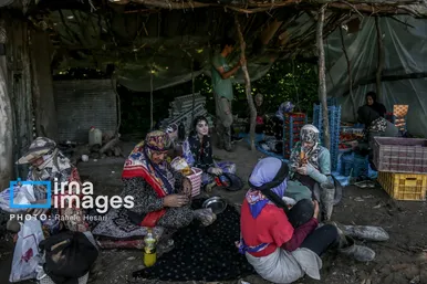گزارش تصویری | بهارِ سرخ شفیع‌آباد