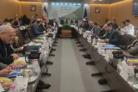 وزیر علوم: روند جذب هیئت علمی در دانشگاه&zwnj;ها طولانی و آزار دهنده است| پذیرش دانشجوی ارشد و دکترا باید به شدت کم شود