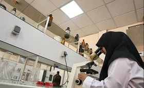 بررسی نقش زنان در توسعه صادرات ایران