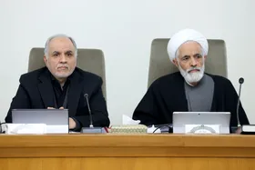 وزیر دادگستری: کسانی که به دست تروریست&zwnj;ها کشته شده&zwnj;اند، شهید محسوب می&zwnj;شوند