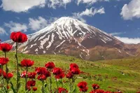 ویدئو| بارش برف در قله دماوند