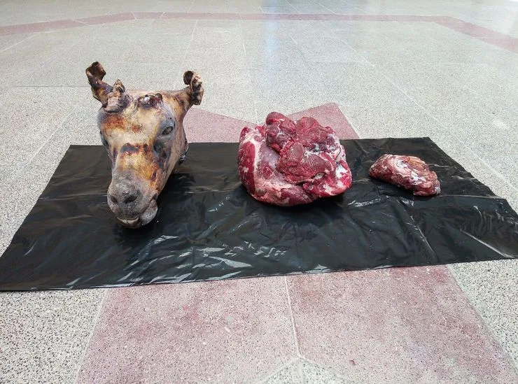 شکارچی آهو دستگیر شد