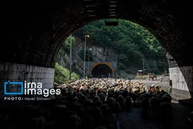 گزارش تصویری | &laquo;جاده چالوس&raquo; گذرگاه بهاری عشایر