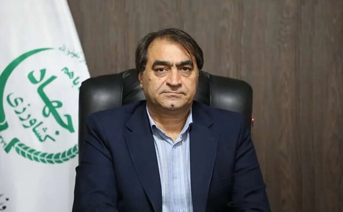 مرغداران نگران تأمین نهاده نباشند|توزیع خوراک دام و طیور با ارز دولتی