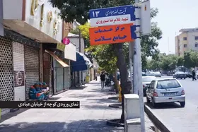 مروری بر تاریخ کوچه &laquo;شهیدهاشمی&zwnj;نژاد ۱٠&raquo; مشهد | ماری خوابیده در کنار دیوار &laquo;بهره&raquo;