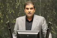 قاضی‌زاده‌‌ هاشمی: تخصیص ارز منجر به گرانی کالا‌ها خواهد شد