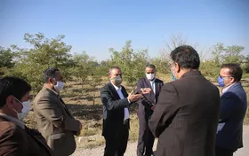 بازدید استاندار خراسان&zwnj;رضوی از اراضی کشف&zwnj;رود