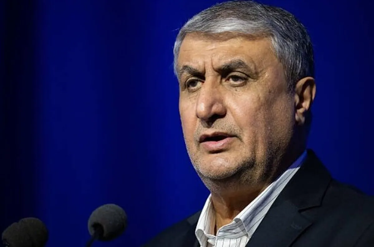 هیأت ونزوئلا با رئیس سازمان انرژی اتمی دیدار کرد