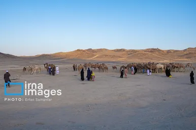 گزارش تصویری | سیستان و بلوچستان سرزمین باد و دریا