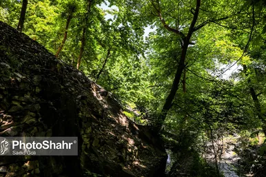 طبیعت «کلاته آهن»، روستایی زیبا در حوالی مشهد