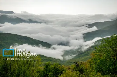 ایران زیباست | بهارِ گلستان