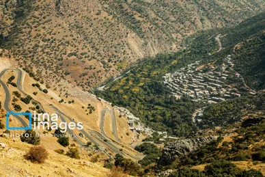 ایران زیباست | برداشت انار در «هورامان»