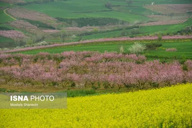 ایران زیباست | طبیعت بهاری روستاهای اطراف ساری