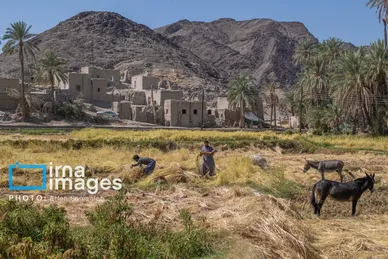 گزارش تصویری | سیستان و بلوچستان سرزمین باد و دریا