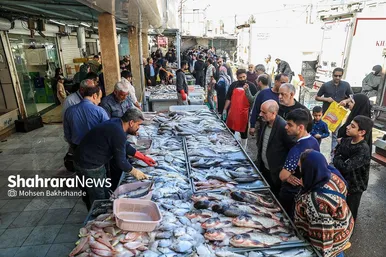 گزارش تصویری |  بازار ماهی فروشان در شهرک عرب‌های مشهد