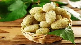 با خواص شگفت&zwnj;انگیز توت سفید آشنا شوید!