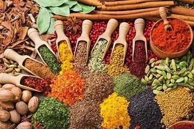 هشدار رئیس سازمان بازرسی نسبت به فعالیت برخی عطاری&zwnj;ها و مداخله&zwnj;گران حوزه درمان