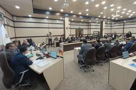 مدیرکل دفتر هماهنگی امور اقتصادی استانداری خراسان رضوی: سیاست&zwnj;های راهبردی ما تکیه بر توان داخل است