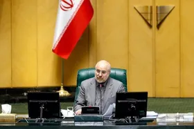 رئیس مجلس: اتفاق حرم رضوی با جدیت بیشتری ریشه&zwnj;یابی شود