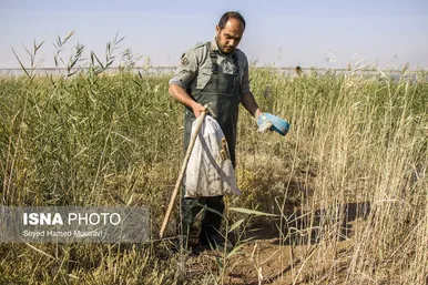 نگهبانان تالاب هورالعظیم