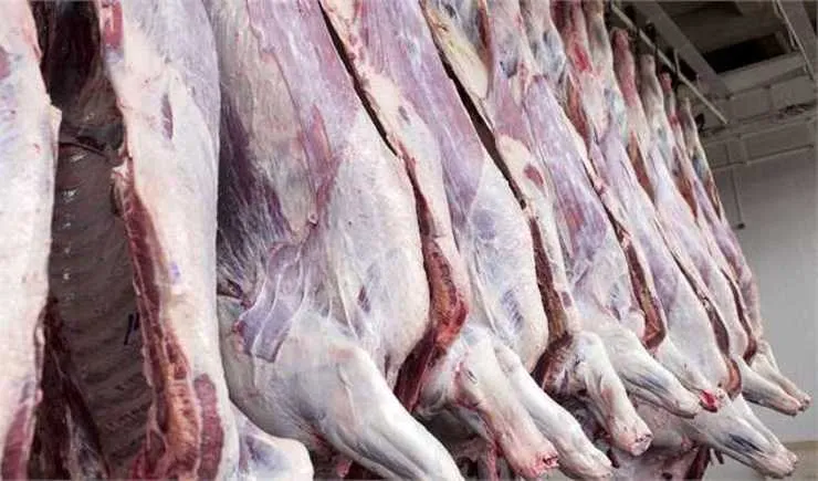 خرید گوشت از دامداران، زیر قیمت تمام شده