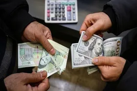 با تثبیت نرخ ارز چه گروهی سود می&zwnj;برند؟