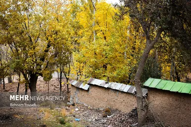 ایران زیباست | روستای دِلارام؛ «دهکده پزشکان»