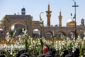 برنامه&zwnj;های دهه کرامت با گلباران حرم مطهر امام رضا (ع) در مشهد آغاز می&zwnj;شود