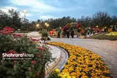 کاشت بیش از ۲۰۵ هزار گل پاییزی در مشهد برای جشنواره «طعم و رنگ پاییز ۱۴۰۴»