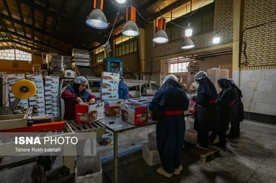 گزارش تصویری | شهرستان تاکستان قطب انگور ایران
