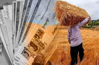 ویدئو | پایان مهر، سررسید تسویه دولت با گندم‌کاران