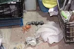 نخستین حادثه چهارشنبه‌سوری در مشهد با مجروحیت شدید جوان ترقه‌ساز+تصاویر