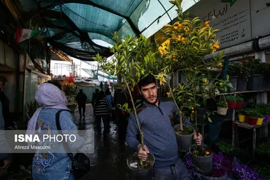 ایران زیباست | بازار گل محلاتی در روزهای پایانی ۱۴۰۳