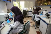 رونمایی از سند مشارکت زنان در خرداد ۱۴۰۴