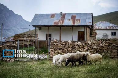 ایران زیباست | ییلاق در کوهستان