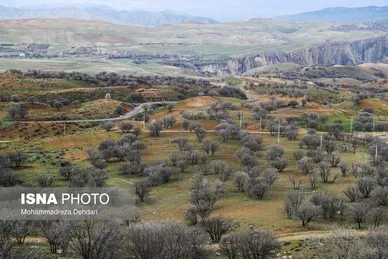 ایران زیباست | زمستان بَهاری در فارس