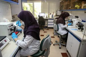 رونمایی از سند مشارکت زنان در خرداد ۱۴۰۴