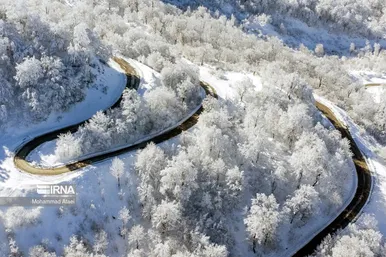 ایران زیباست | گلستان برفی
