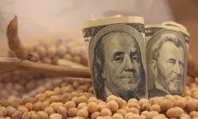 لزوم تخصیص ارز صادرات محصولات کشاورزی برای تامین نهاده ها