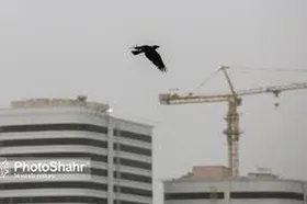 گردوغبار تا ظهر سه&zwnj;شنبه میهمان آسمان مشهد است | مشهدی&zwnj;ها از ماسک استفاده کنند (۲۹ اسفند ۱۴۰۲)