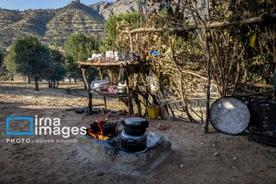 گزارش تصویری | فصل برداشت محصول عشایر بختیاری